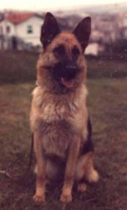 Mina del Coto de Belvis